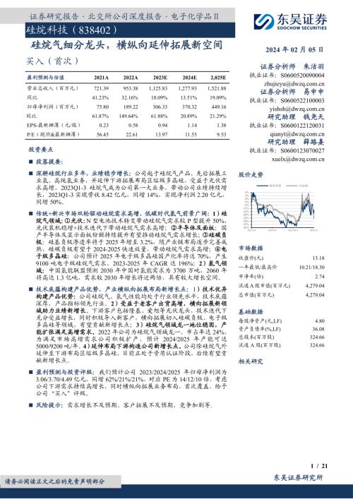 硅烷科技-公司研究报告-硅烷气细分龙头横纵向延伸拓展新空间-240205（21页）