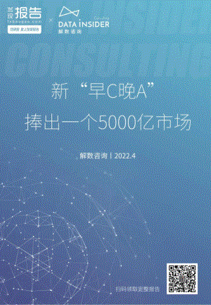 解数咨询：2022低度酒行业分析报告（36页）