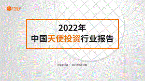 IT桔子:2022年中国天使投资行业报告(61页)