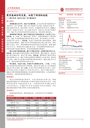 镇洋发展：聚焦氯碱协同发展拓展下游扬帆起航-220816（23页）