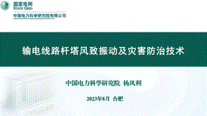 输电线路杆塔风致振动及灾害防治技术