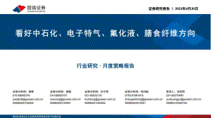 化工行业:看好中石化、电子特气、氟化液、膳食纤维方向-230430(40页)