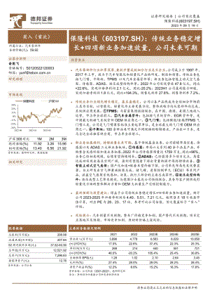 保隆科技-公司研究报告-传统业务稳定增长+四项新业务加速放量公司未来可期-230919（33页）