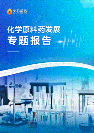 火石创造：2022化学原料药发展专题报告（17页）