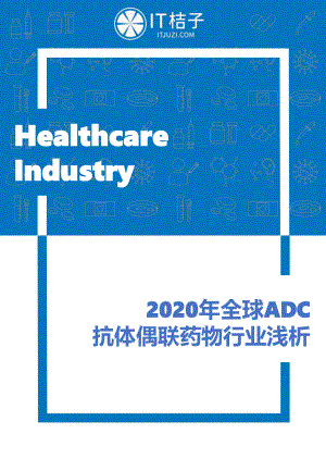 IT桔子：2020年全球ADC抗体偶联药物行业浅析(35页)