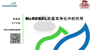 McREBEL在蓝耳净化中的作用 张有权 长荣农业科技
