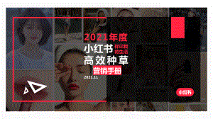 小红书：小红书新消费高效种草解决方案（34页）