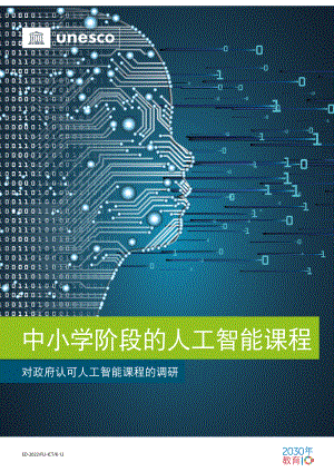 北京师范大学智慧学习研究院：中小学阶段的人工智能课程_ 对政府认可人工智能课程的调研（63页）
