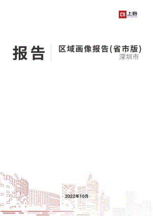 2022深圳市产业区域画像报告（44页）