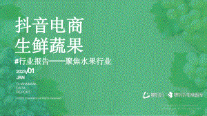 蝉妈妈：2023年抖音电商生鲜蔬果行业报告（32页）