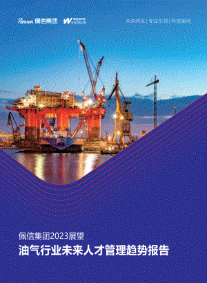 佩信集团：2023油气行业未来人才管理趋势报告（37页）