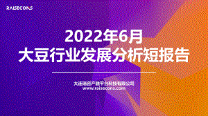 瑞咨咨询：2022年6月大豆行业发展分析短报告（15页）