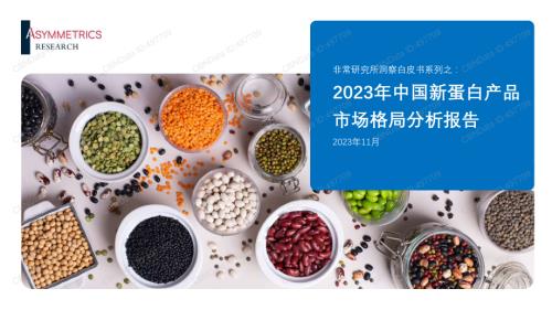 非常研究所（AR）：2023中国新蛋白产品市场格局分析报告（30页）