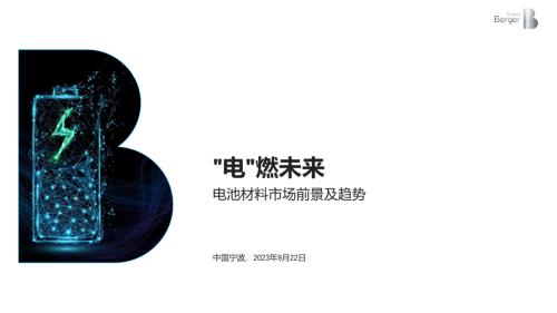 宗瑞睿-_电_燃未来 电池材料市场前景及趋势_CN