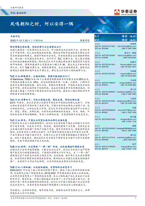 电子行业深度研究：凤鸣朝阳之时何以安得一隅-221020（48页）