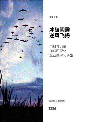IBM:用科技力量加速和深化企业数字化转型:冲破阴霾逆风飞扬(9页)