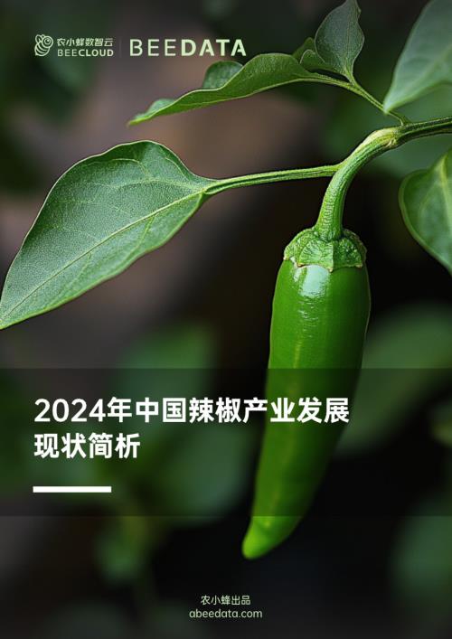 农小蜂：2024年中国辣椒产业发展现状简析报告（20页）