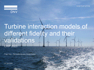 6.陈滢依 CWP2023_Turbine interaction models and validation_DNV（换pdf格式公开）