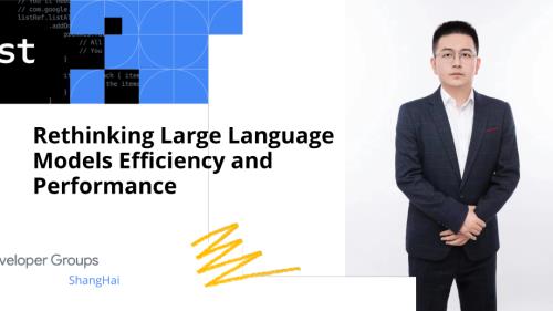 10 段石石Rethinking Large Language Models efficiency and performance