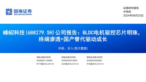峰岹科技-公司研究报告：BLDC电机驱控芯片明珠终端渗透+国产替代驱动成长-240823（42页）