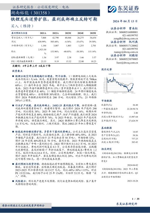 湖南裕能-公司研究报告-铁锂龙头逆势扩张盈利底部确立反转可期-240413（35页）